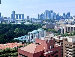 Cairnhill Residences (D9), Apartment #597087531